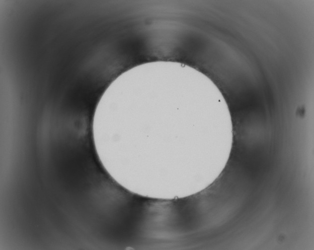 X0000103940132200809261734