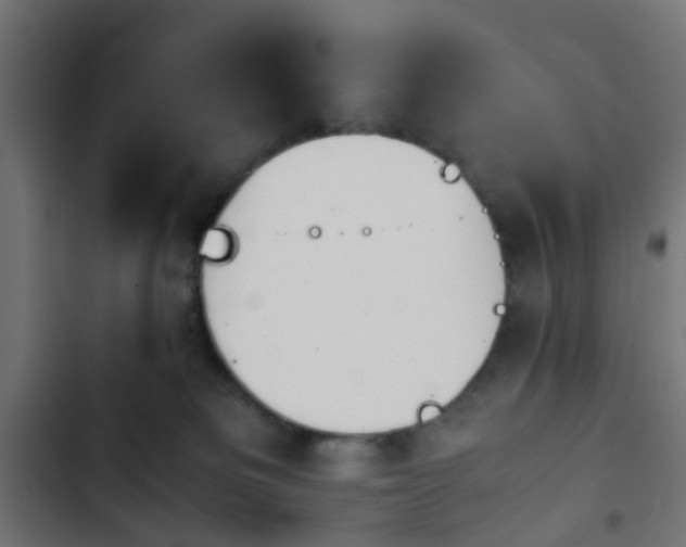 X0000103940133200809261734