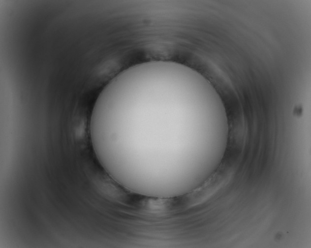 X0000103940134200809261734