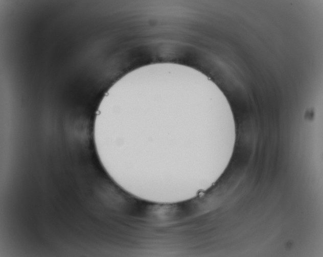 X0000103940135200809261734