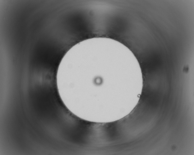 X0000103940136200809261734