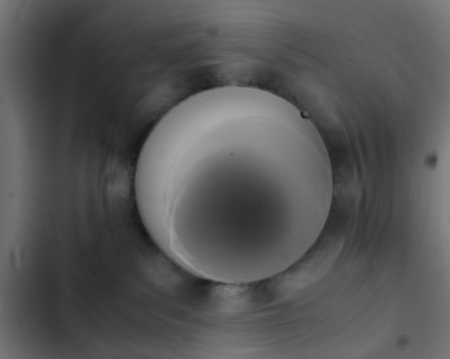 X0000103940139200809261734