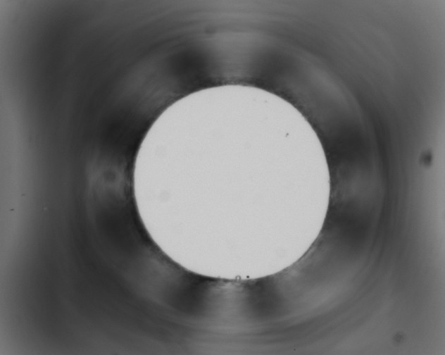 X0000103940140200809261734