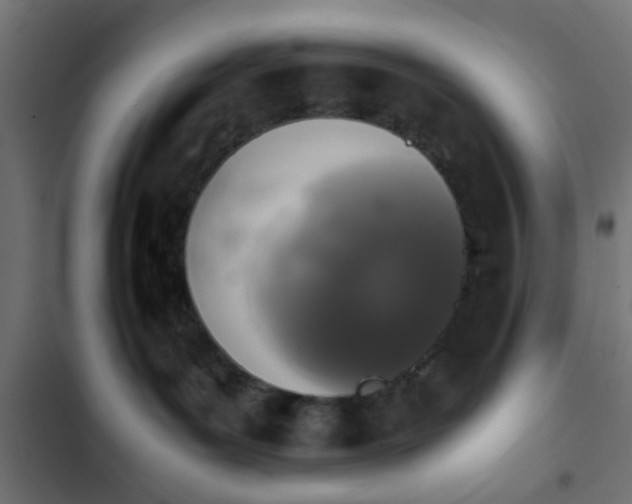 X0000103940143200809261734