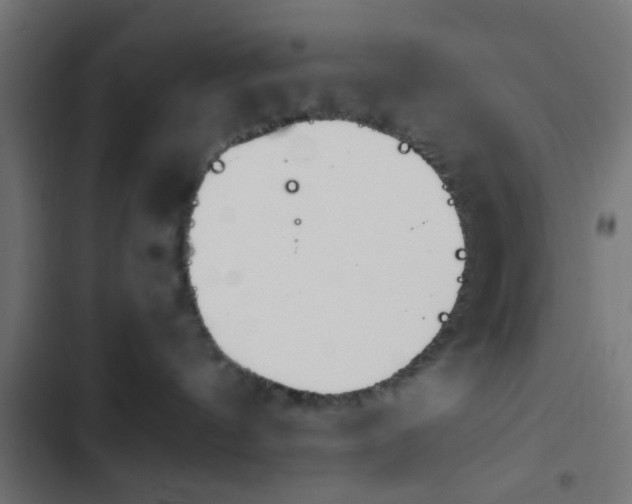 X0000103940144200809261734