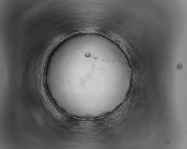 X0000103940145200809261733