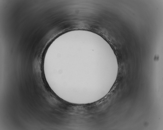 X0000103940146200809261733