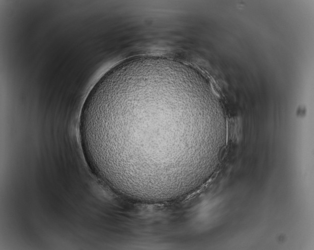 X0000103940147200809261733