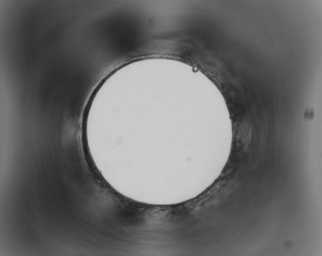 X0000103940148200809261733