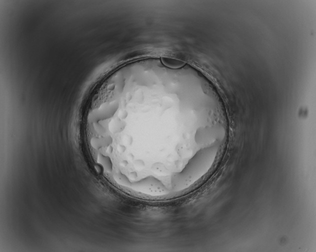 X0000103940149200809261733