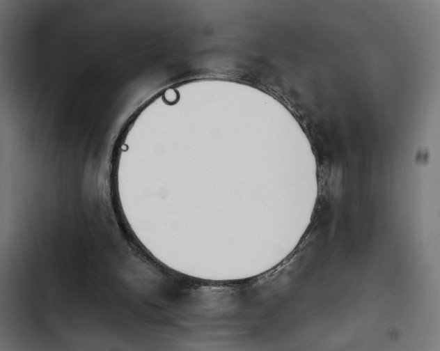 X0000103940150200809261733