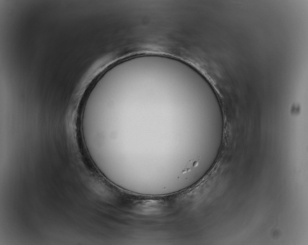 X0000103940151200809261733