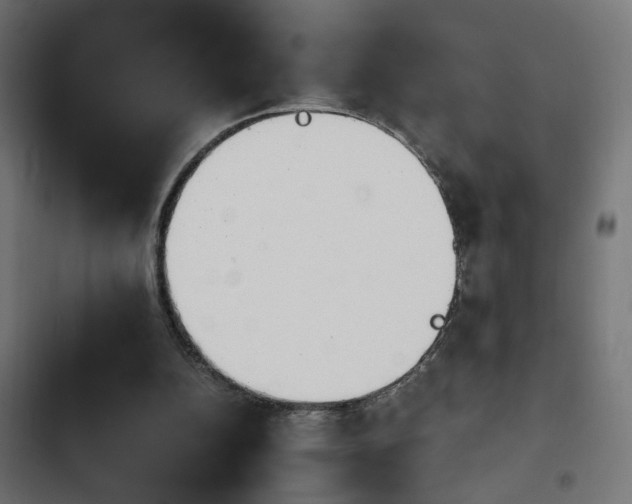 X0000103940152200809261733