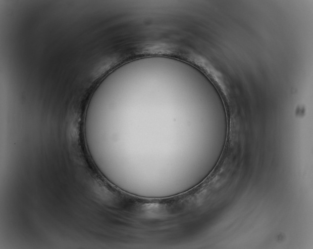 X0000103940153200809261733