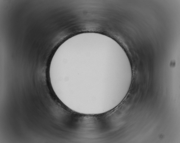 X0000103940154200809261733