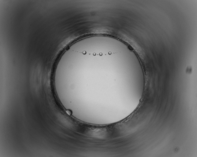 X0000103940155200809261733