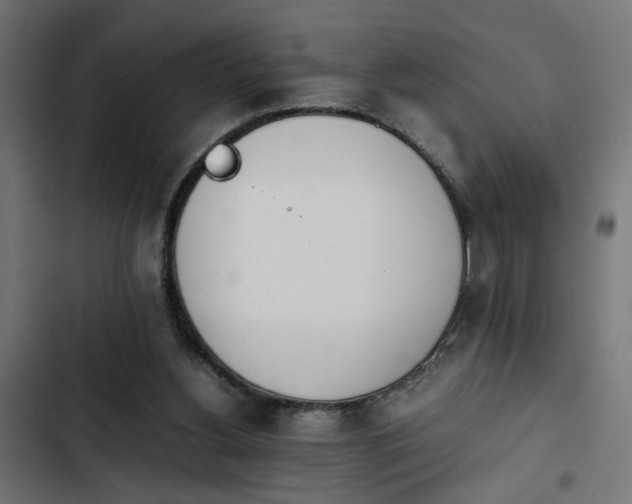 X0000103940156200809261733