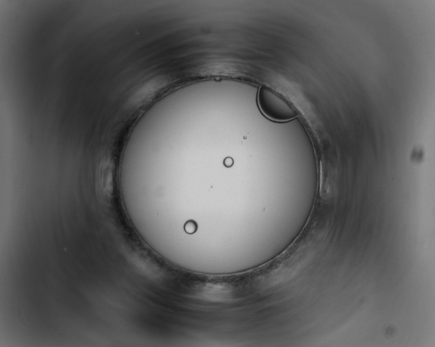 X0000103940157200809261733