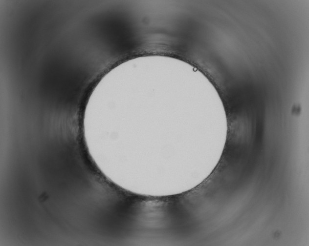 X0000103940158200809261733