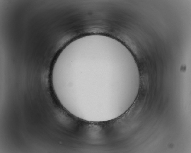 X0000103940159200809261733