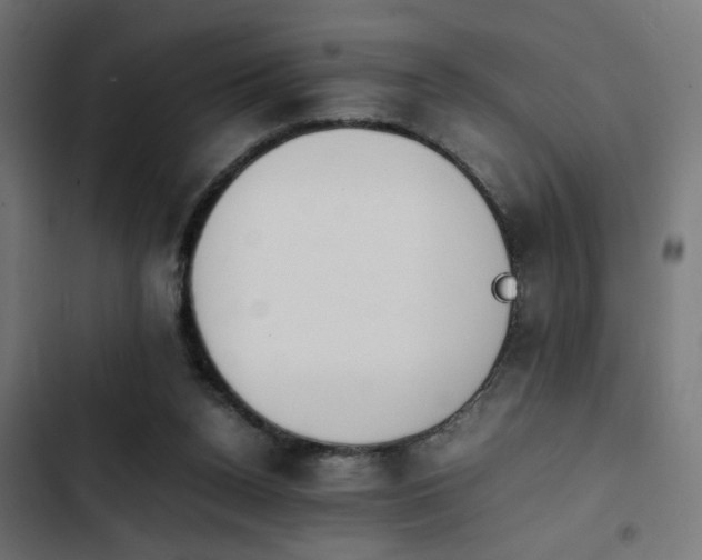 X0000103940160200809261733