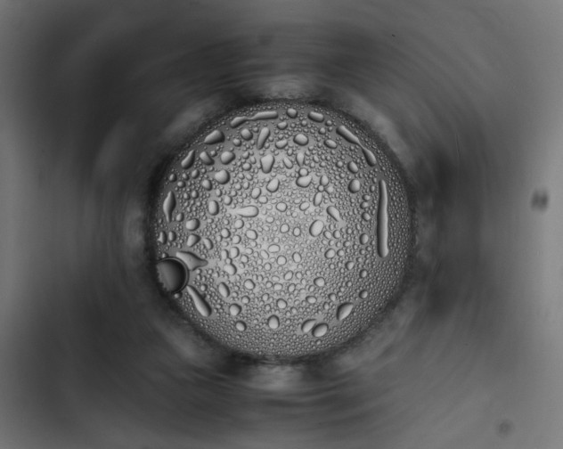 X0000103940161200809261733