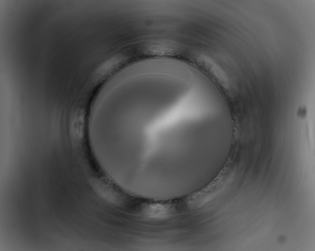 X0000103940163200809261733