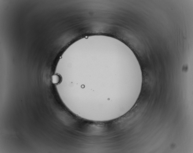 X0000103940164200809261733