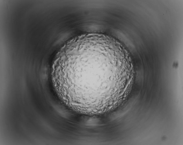 X0000103940165200809261733