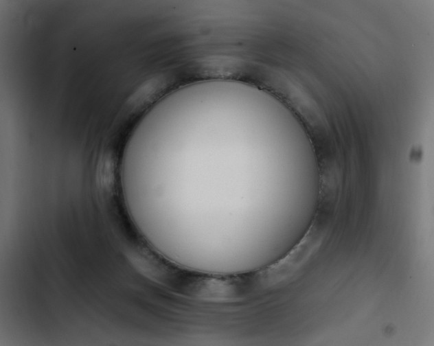 X0000103940166200809261733