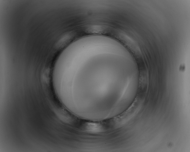 X0000103940167200809261733