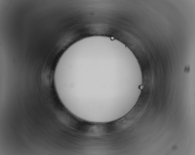 X0000103940168200809261733