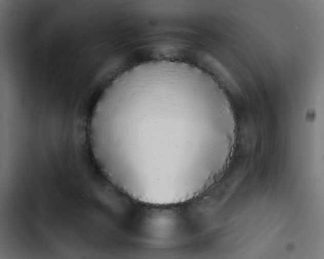 X0000103940169200809261733