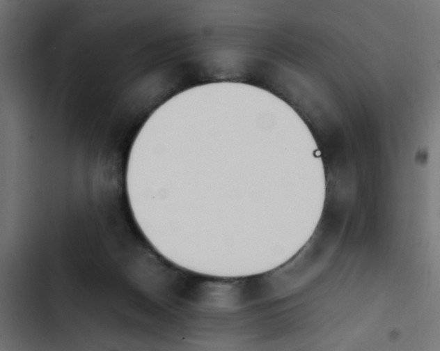 X0000103940170200809261733