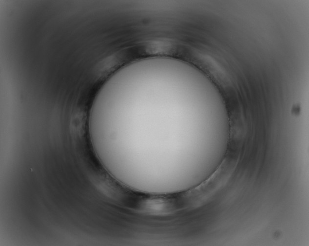 X0000103940171200809261733