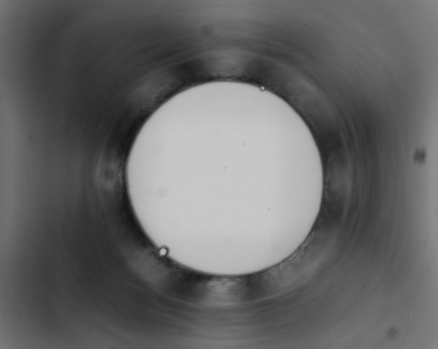 X0000103940172200809261734