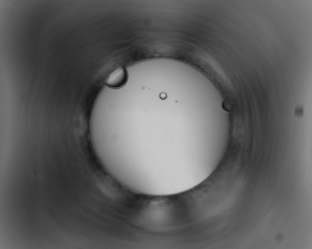 X0000103940173200809261734