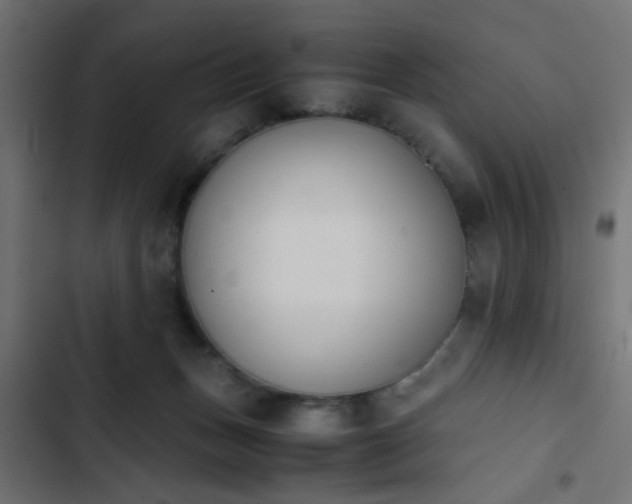 X0000103940175200809261734