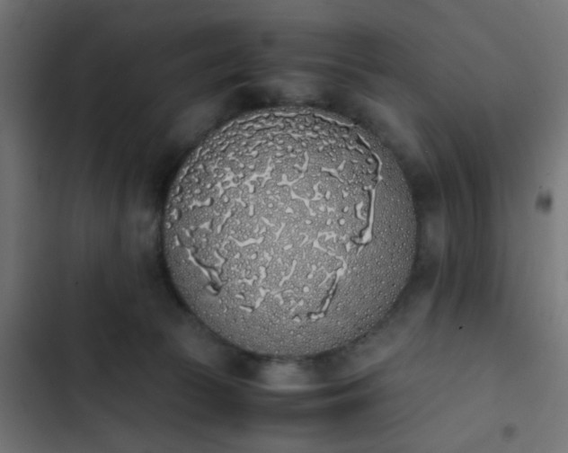 X0000103940177200809261734