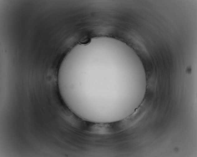 X0000103940179200809261734