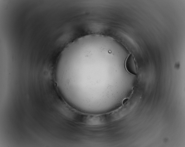 X0000103940181200809261734