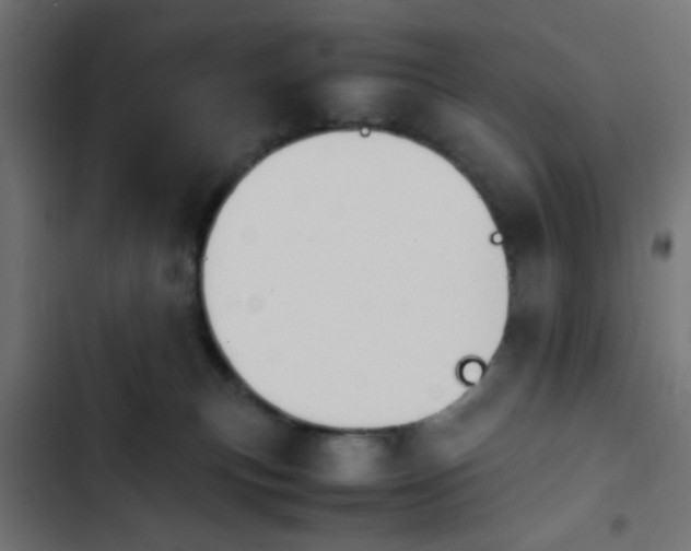 X0000103940183200809261734