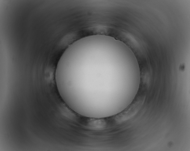 X0000103940185200809261734