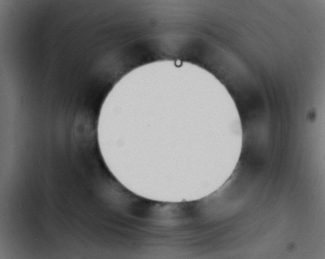 X0000103940186200809261734