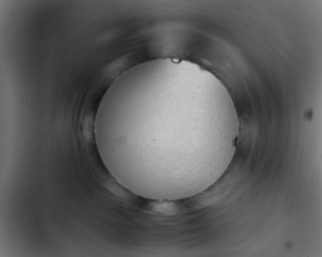 X0000103940189200809261734