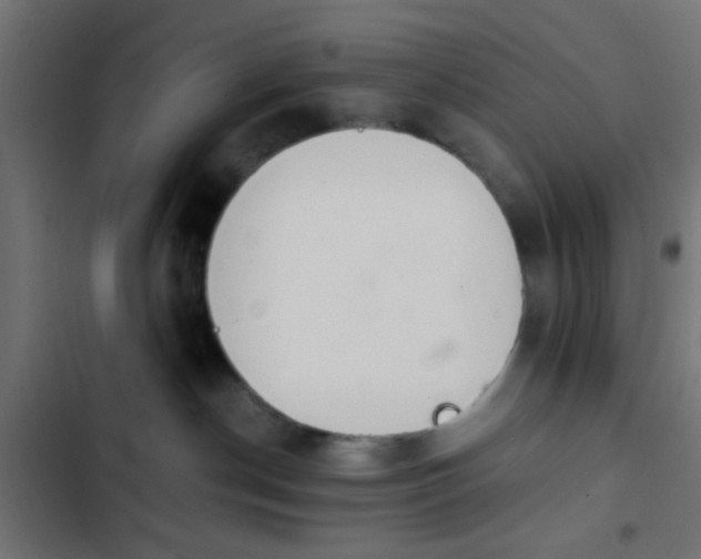 X0000103940190200809261734