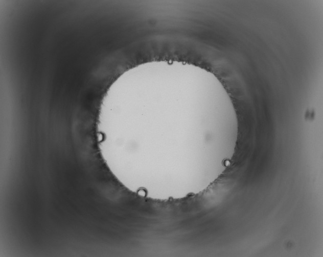 X0000103940192200809261734