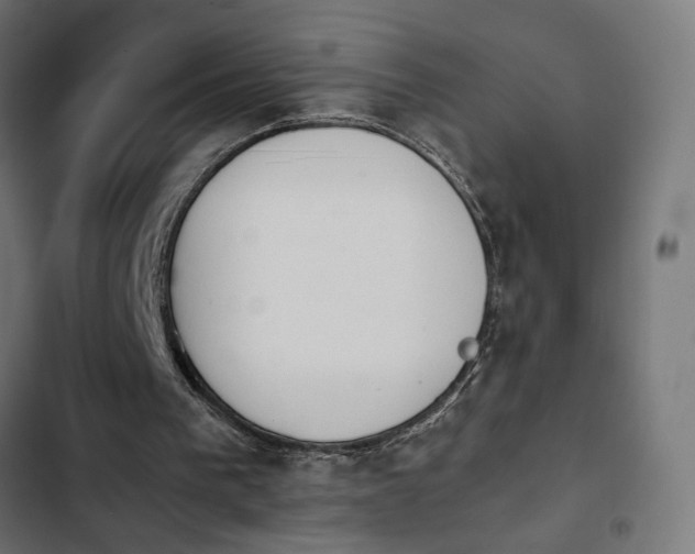 X0000103940193200809261733