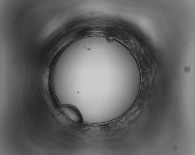 X0000103940194200809261733