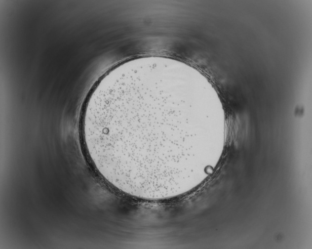 X0000103940195200809261733